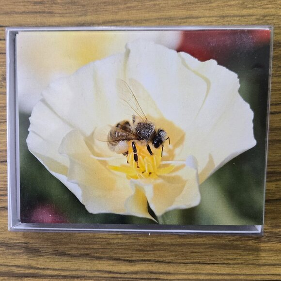 Five Boxes of Blank Notecards with Bees (12 to a box, 60 cards total) - Picture 4 of 11